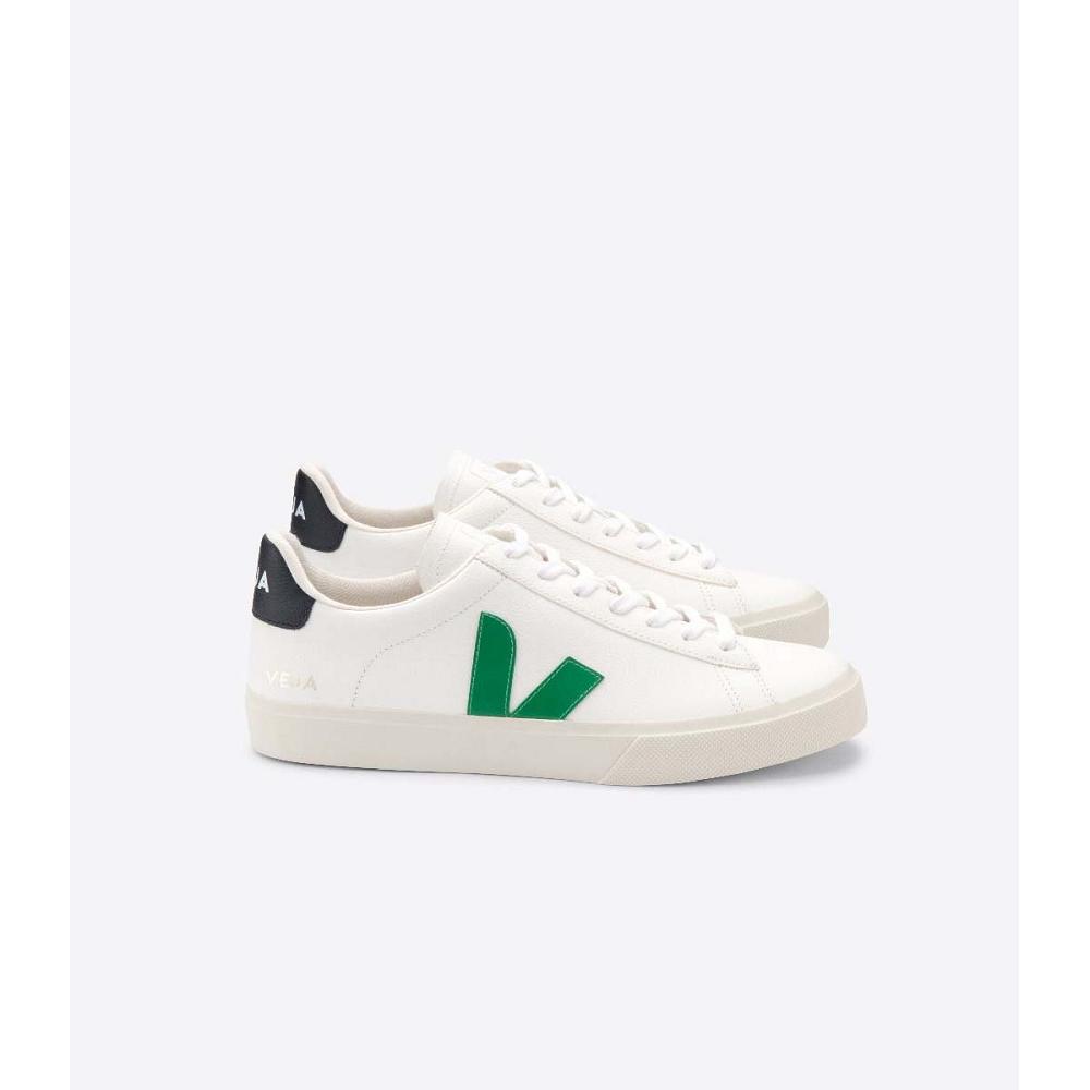 Low Tops Sneakers Barbati Veja CAMPO CHROMEFREE Albi | RO 292UZG